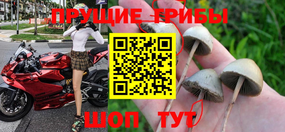 Псилоцибиновые грибы MAGIC MUSHROOMS  Вход с VPN  Галлюциногенные грибы прущие грибы  Нижневартовск 